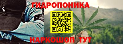 прущие грибы Белореченск