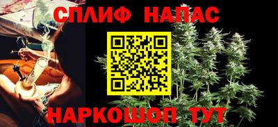 прущие грибы Белореченск